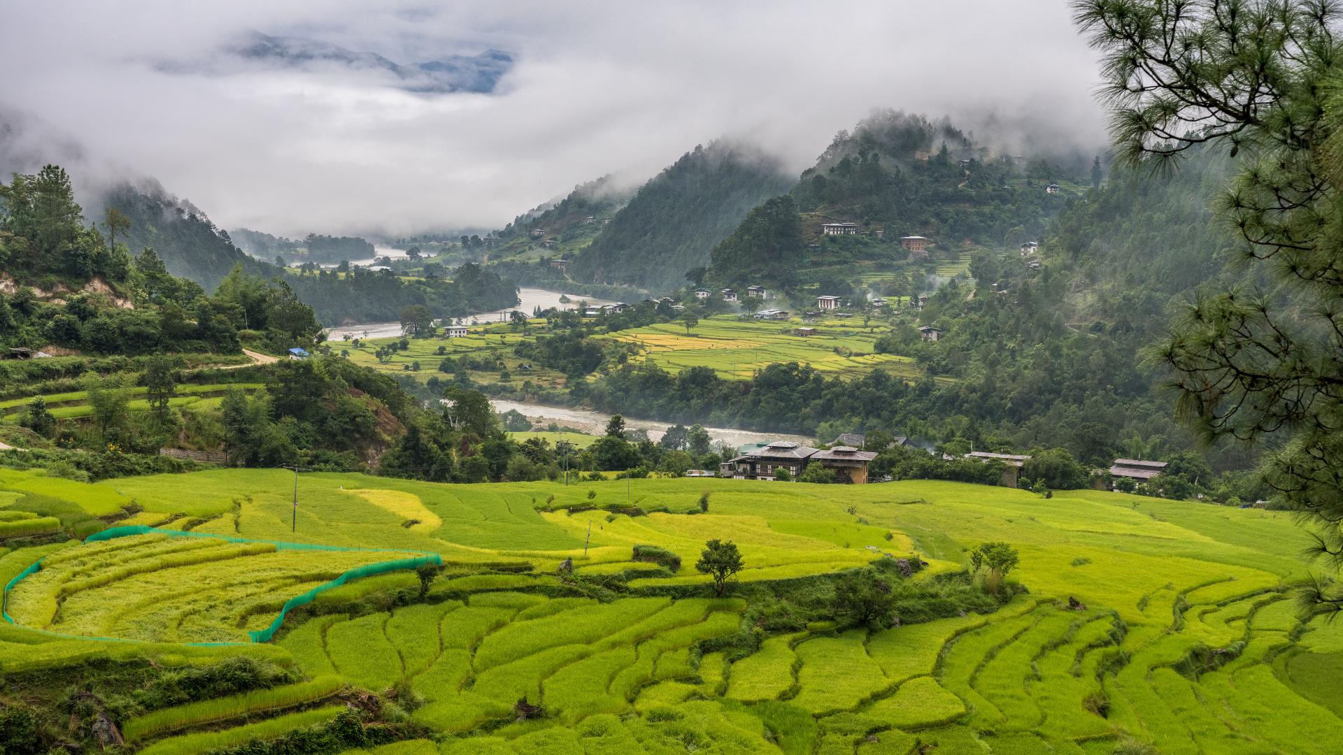 Day 4 in Punakha, scene 2