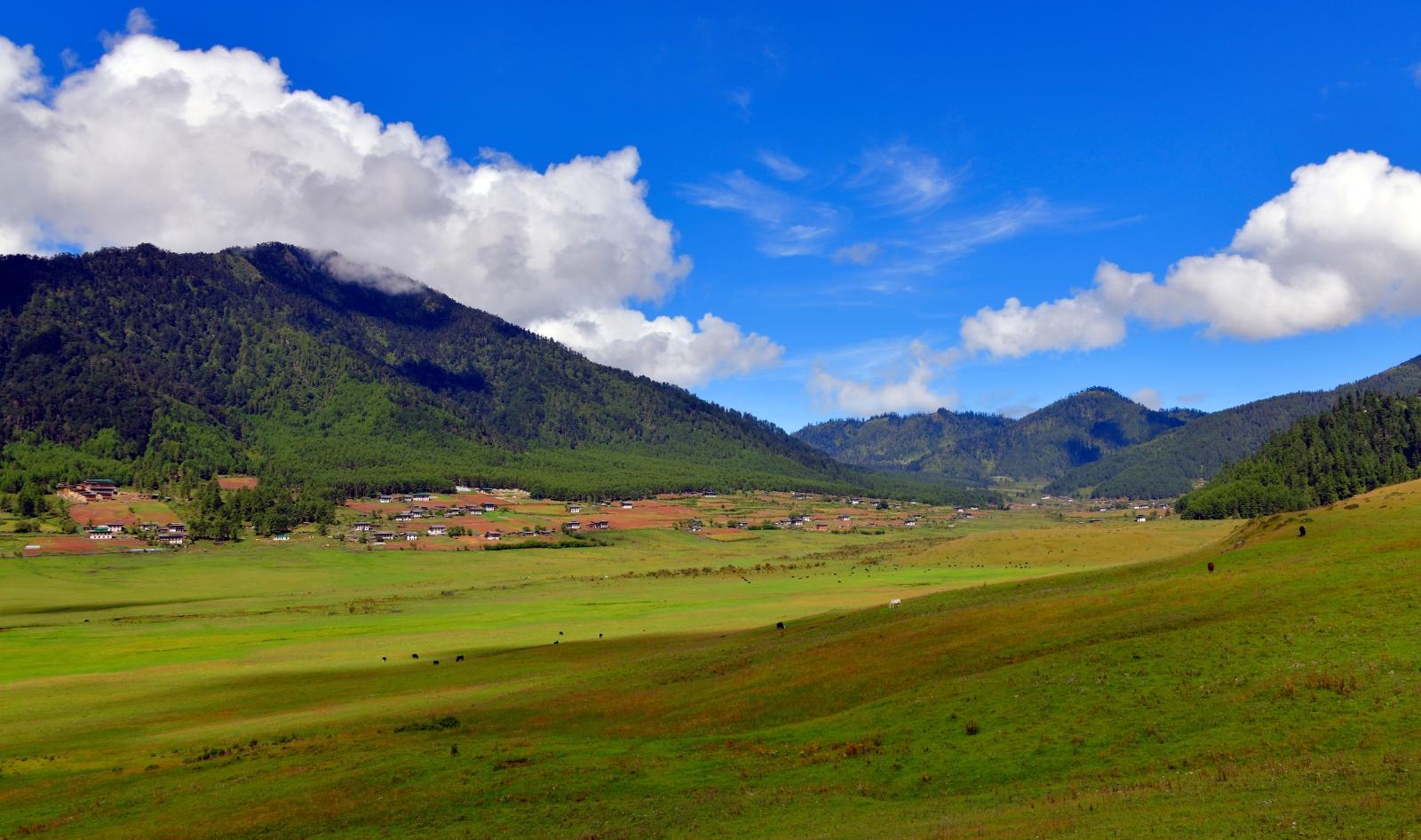 Day 5 in Phobjikha / Gangtey, scene 1