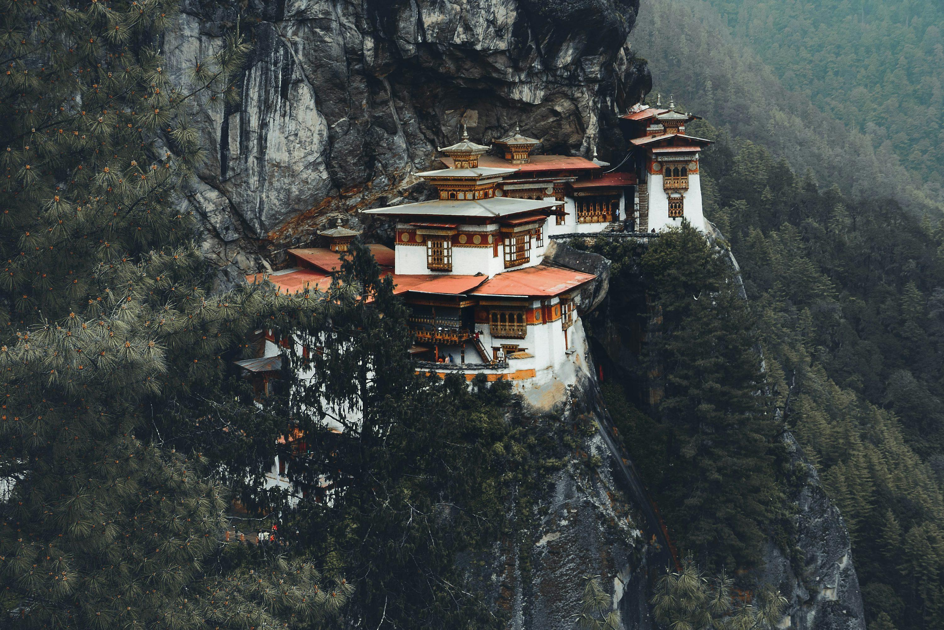 Day 7 in Paro, scene 1