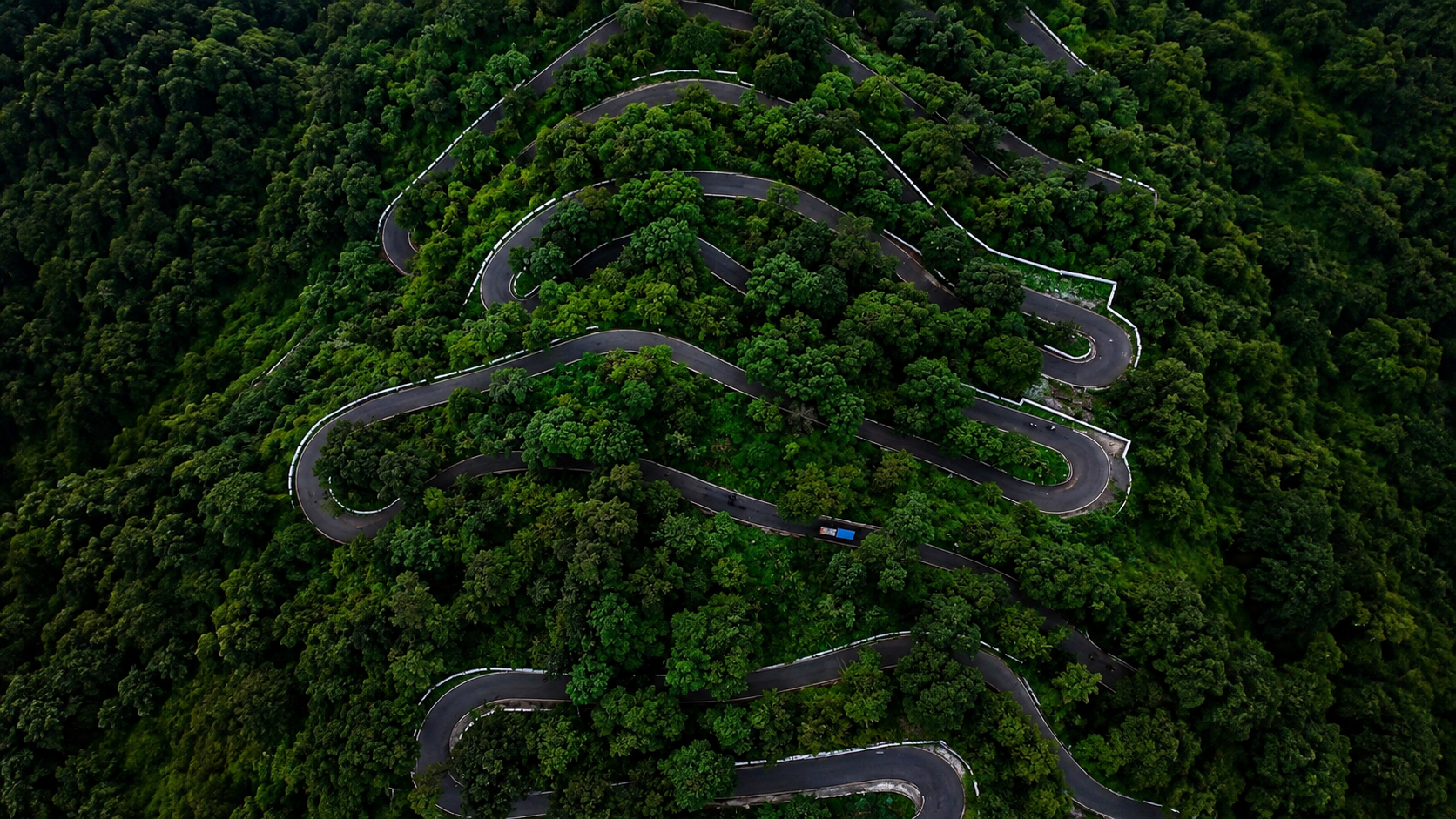 Coffee plantations in Coorg