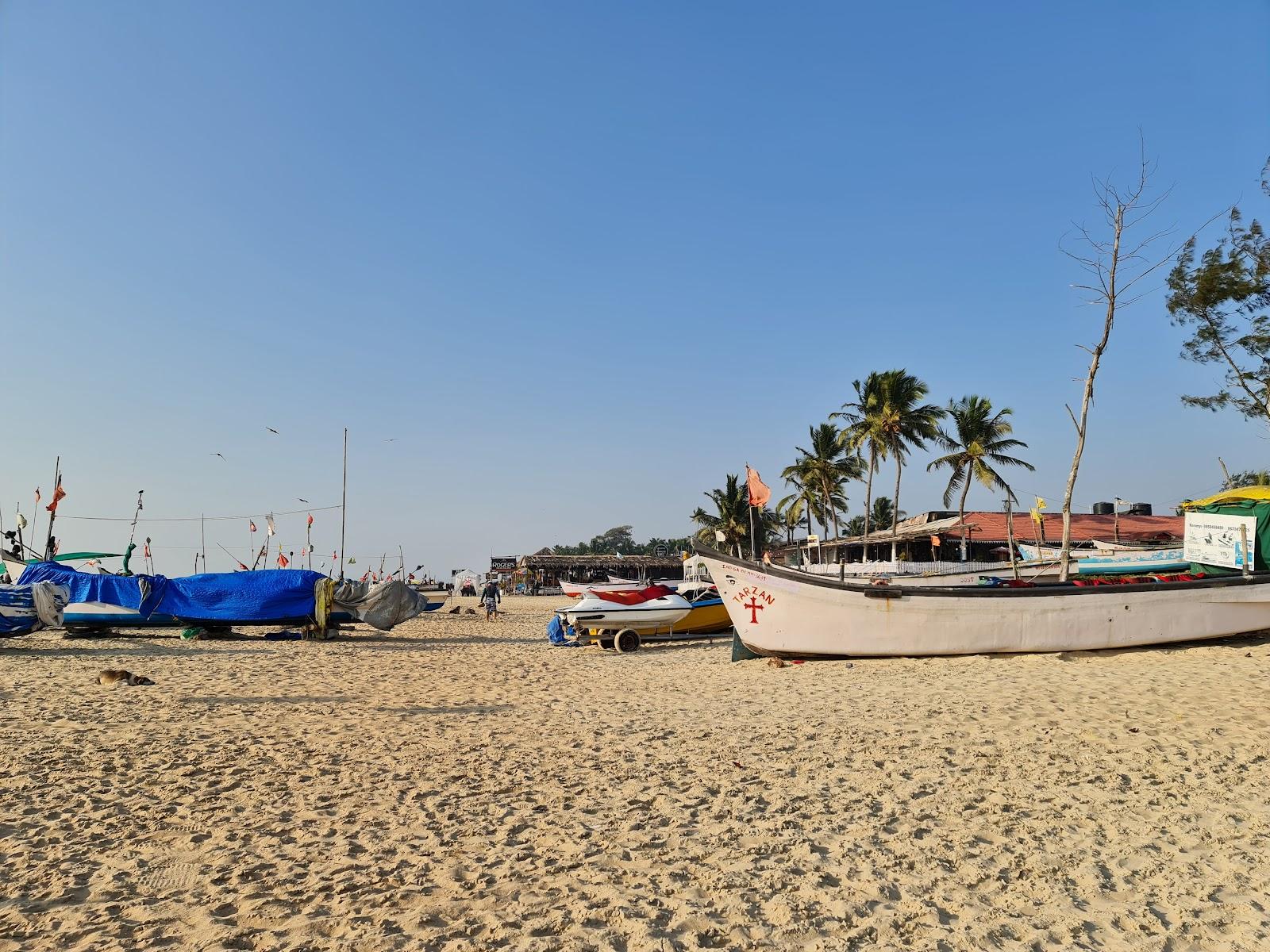 Day 4 in South Goa, scene 2