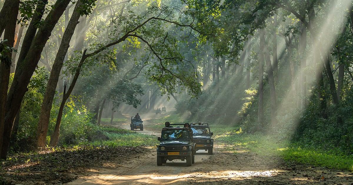 Day 2 in Jim Corbett National Park, scene 1