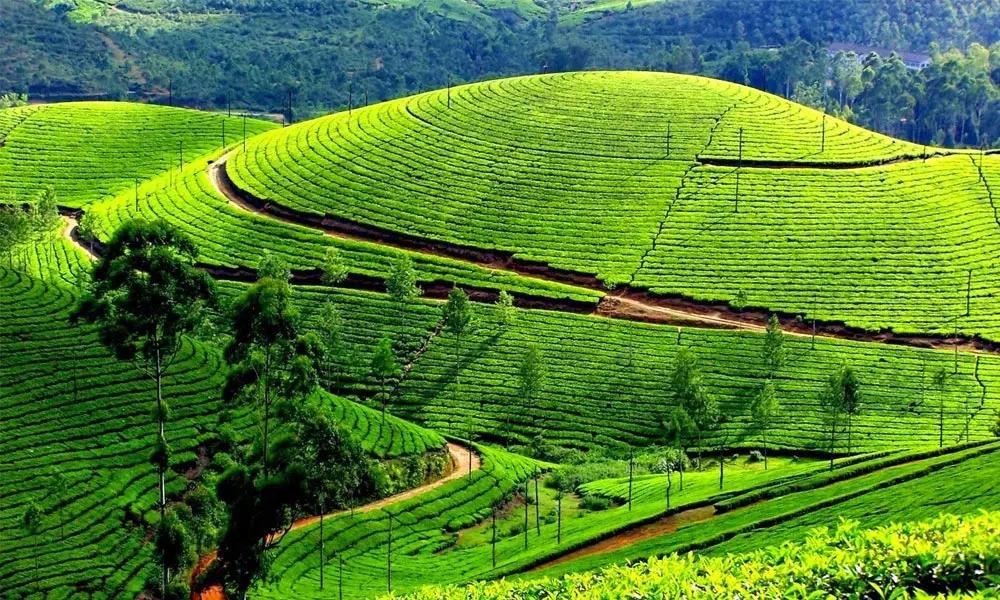 Day 3 in Ooty & Bengaluru, scene 2